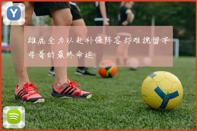 雄鹿全力以赴补强阵容却难挽留字母哥的最终命运