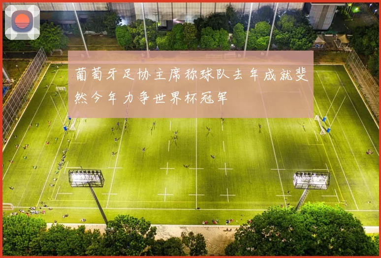 葡萄牙足协主席称球队去年成就斐然今年力争世界杯冠军