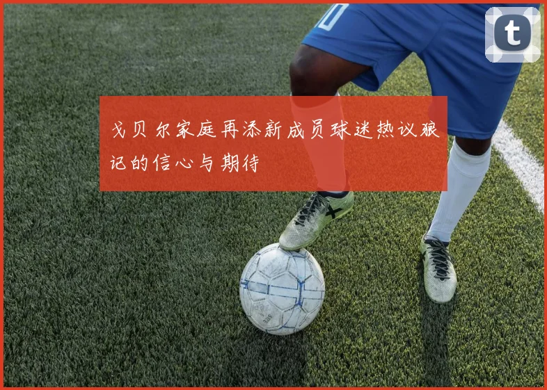 戈贝尔家庭再添新成员球迷热议狼记的信心与期待