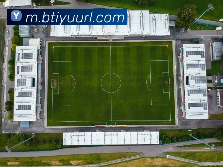 B体育APP 封面图